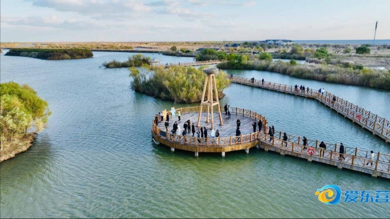 不仅仅依靠 不仅仅依靠